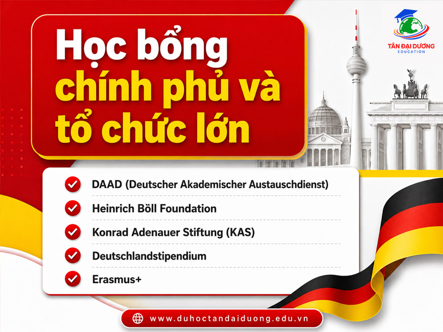 Học bổng chính phủ và tổ chức lớn