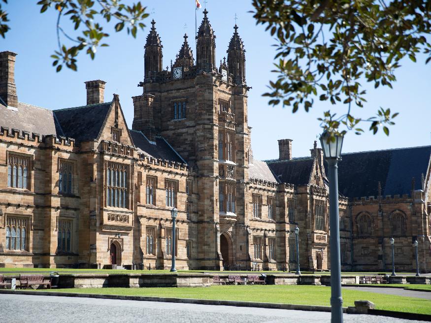 Điều kiện đầu vào tại Sydney University
