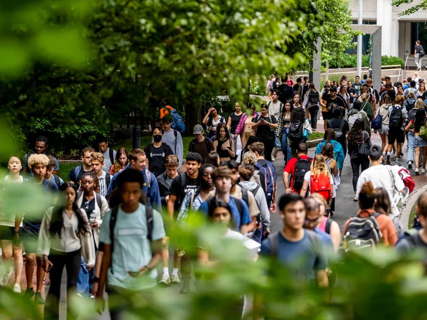 Câu hỏi thường gặp về trường Northeastern University