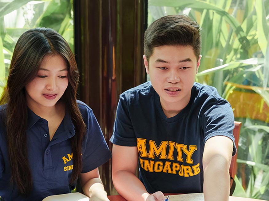 Ngành đào tạo và bậc học tại học viện Amity Singapore