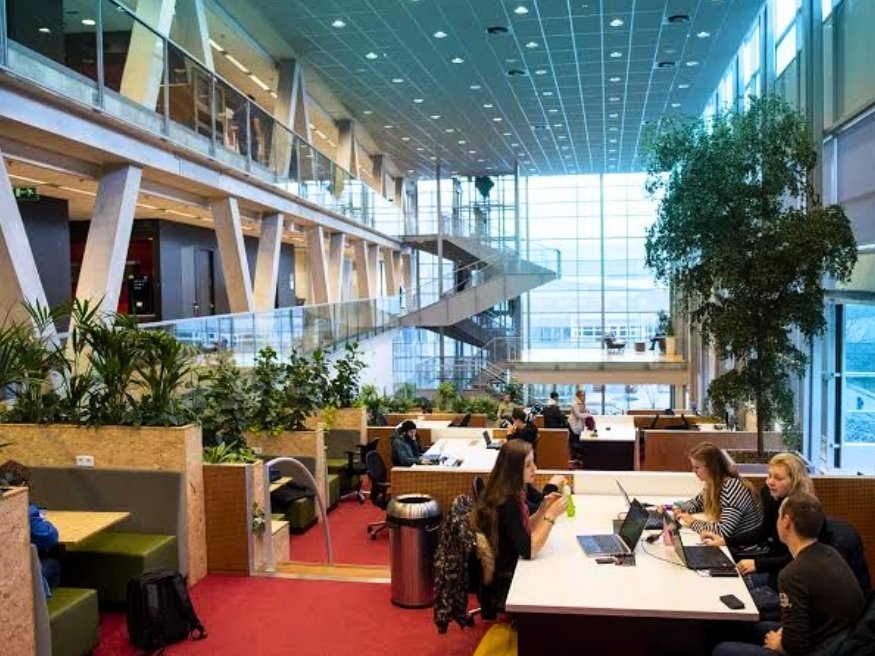 Chi phí du học tại NHL Stenden University of Applied Sciences