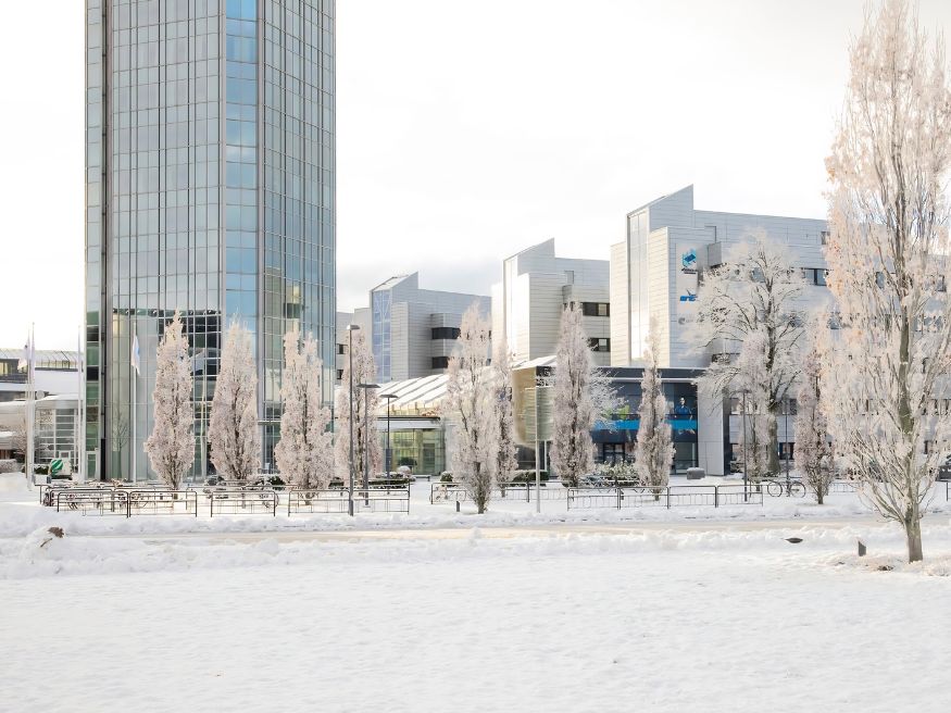Điều kiện tuyển sinh và quy trình nộp hồ sơ vào Halmstad University