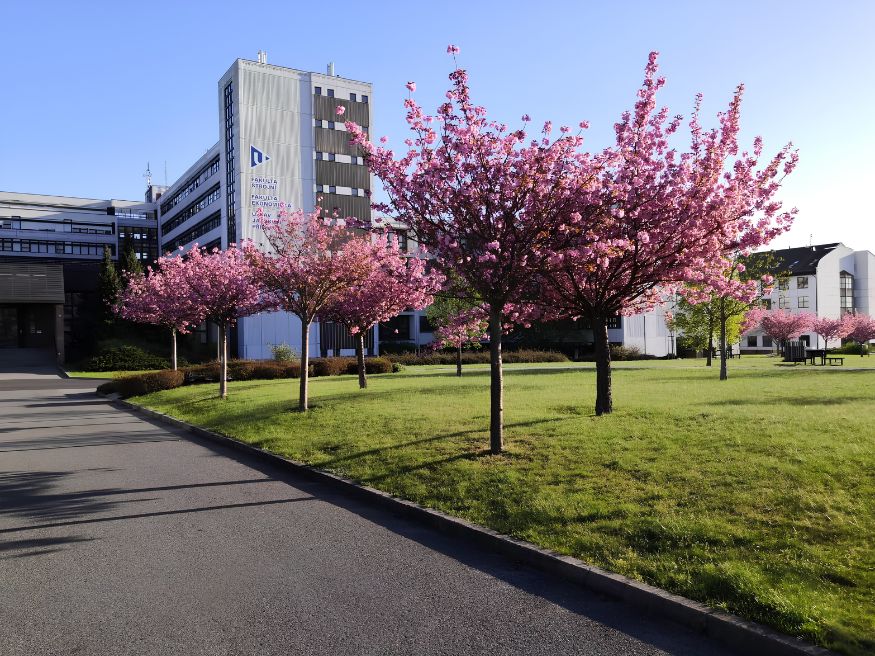 Tổng quan về Đại học University of West Bohemia (UWB)