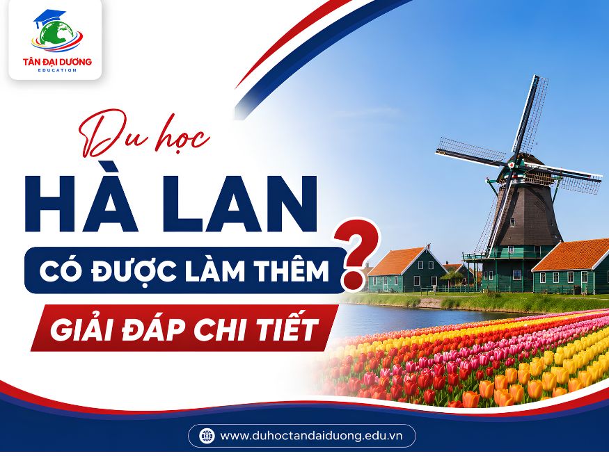 Du học Hà Lan có được làm thêm không? 