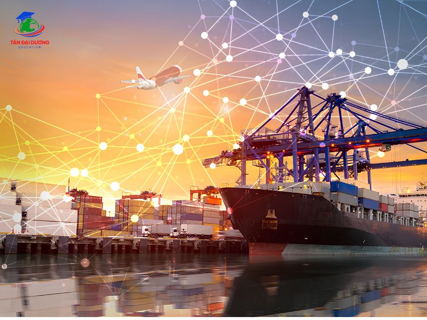 Ai phù hợp với du học Hà Lan ngành logistics? Lưu ý cần biết trước khi quyết định