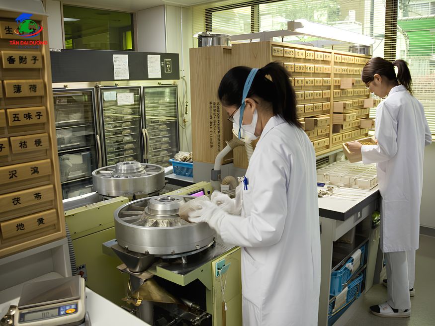 Điều kiện du học Nhật Bản ngành y học cổ truyền