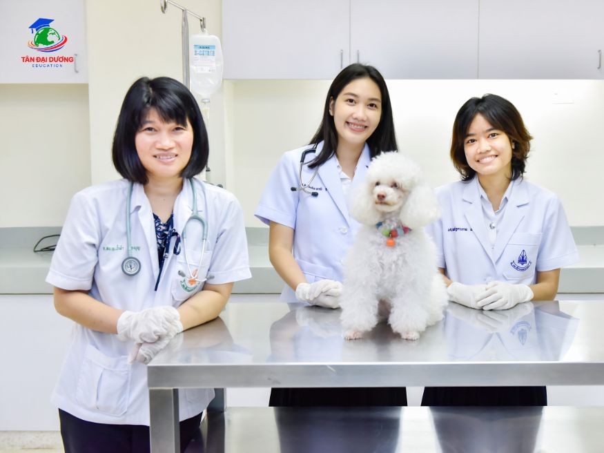 FAQ - Giải đáp câu hỏi thường gặp về du học Thái Lan ngành thú y