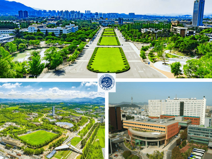 Thông tin tổng quan về Đại học Yeungnam