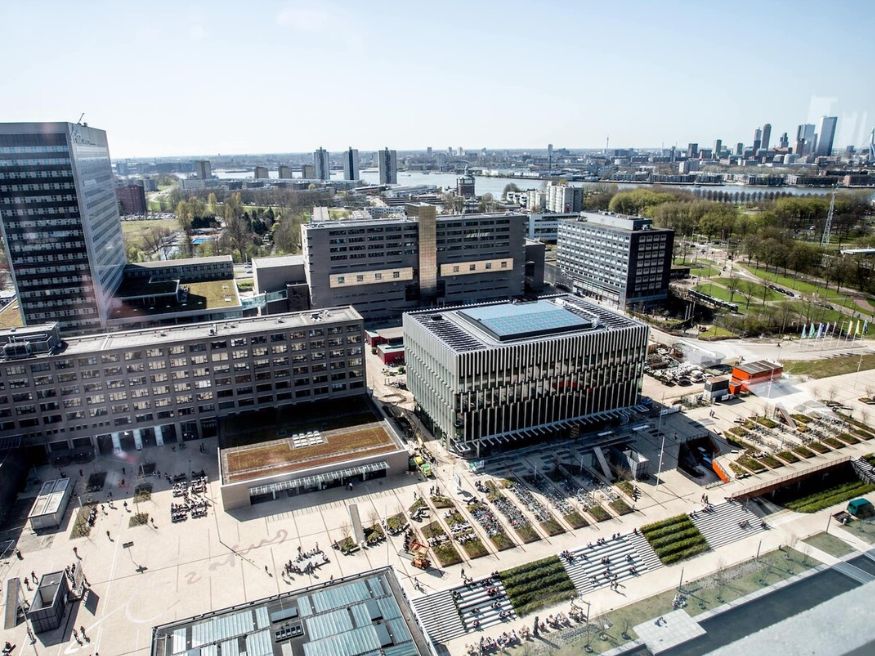 Các khoa, ngành đào tạo nổi bật tại Đại học Erasmus University Rotterdam