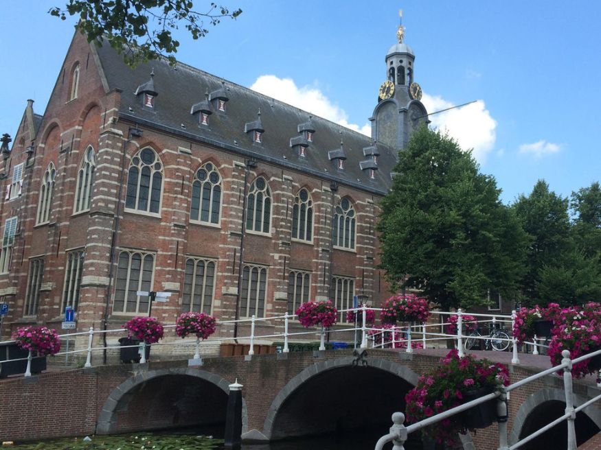 Các ngành học và chương trình đào tạo tại Đại học Leiden University