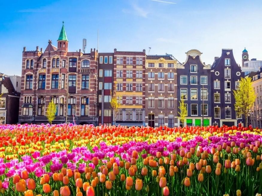 Đại học University of Applied Sciences Europe – Amsterdam