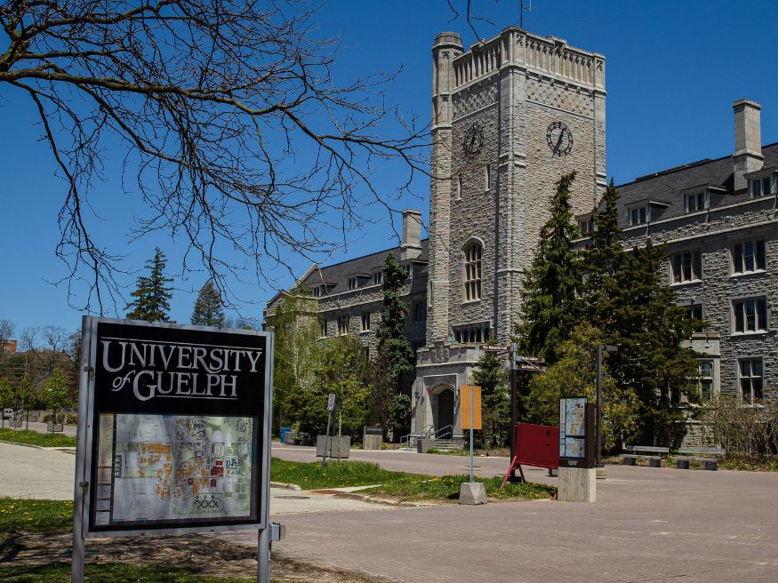 Các ngành học nổi bật và chương trình đào tạo tại University of Guelph