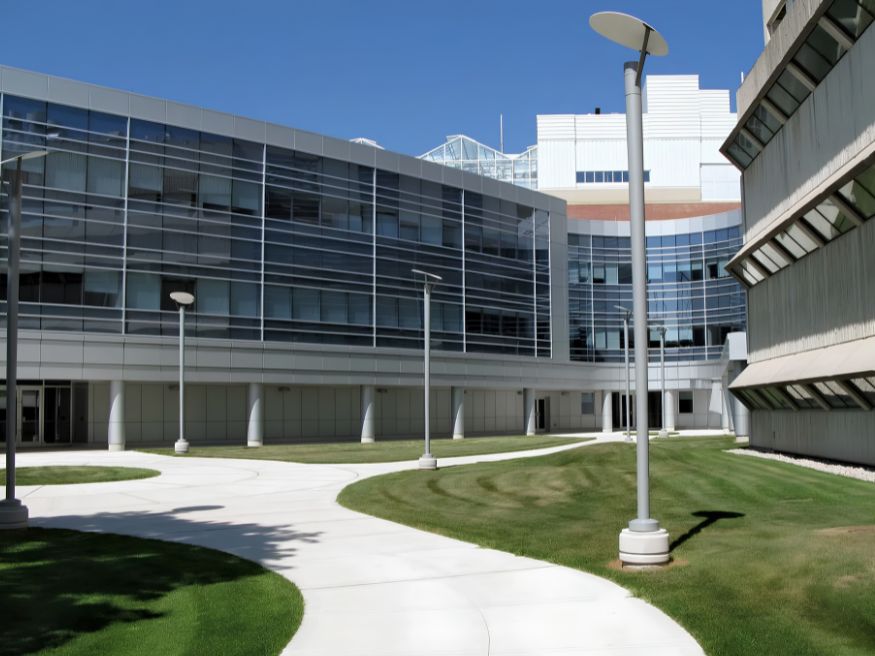 Học phí University of Guelph năm 2026 cho sinh viên quốc tế