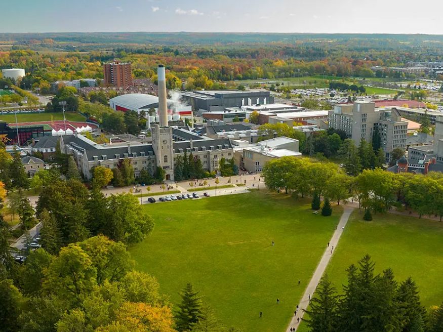Đại học University of Guelph là trường gì? 