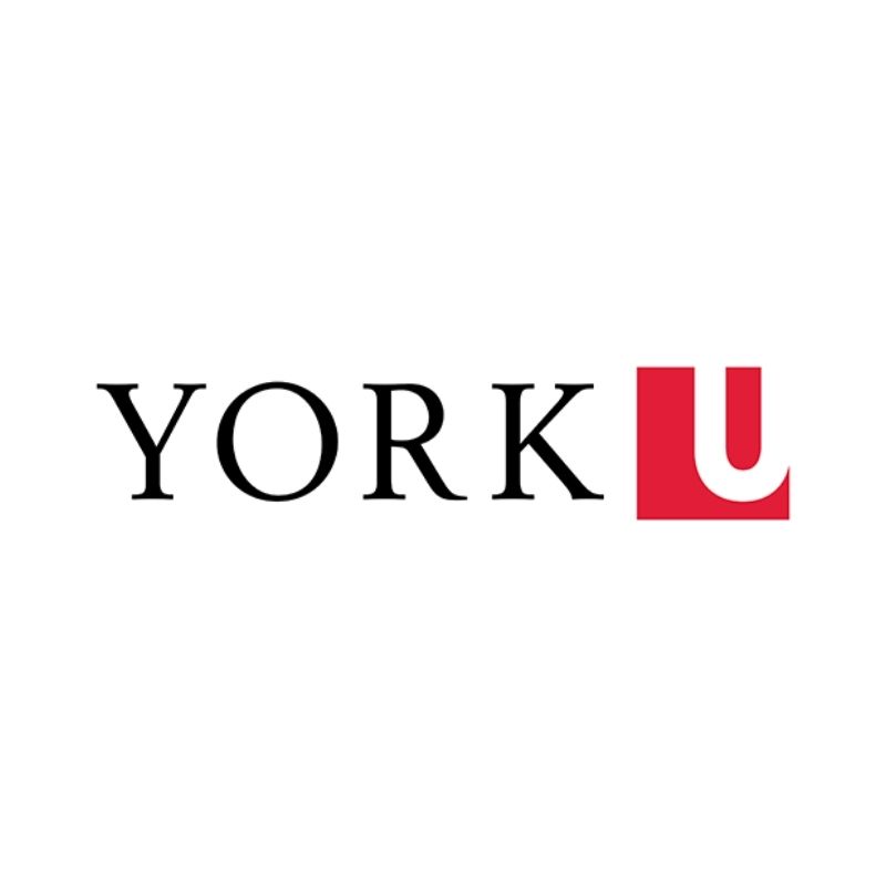 Đại học York University