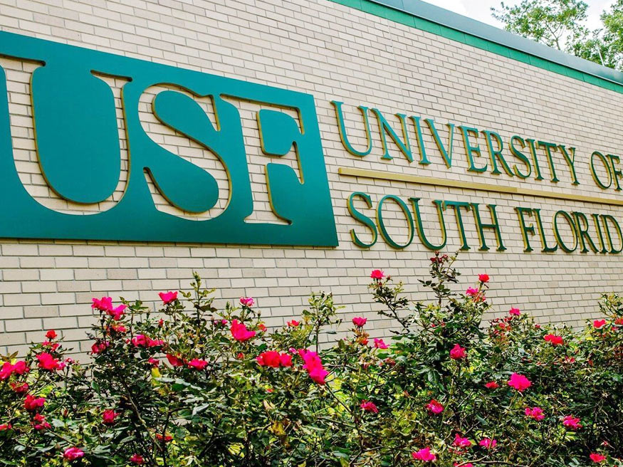Thông tin tổng quan về Đại học University of South Florida