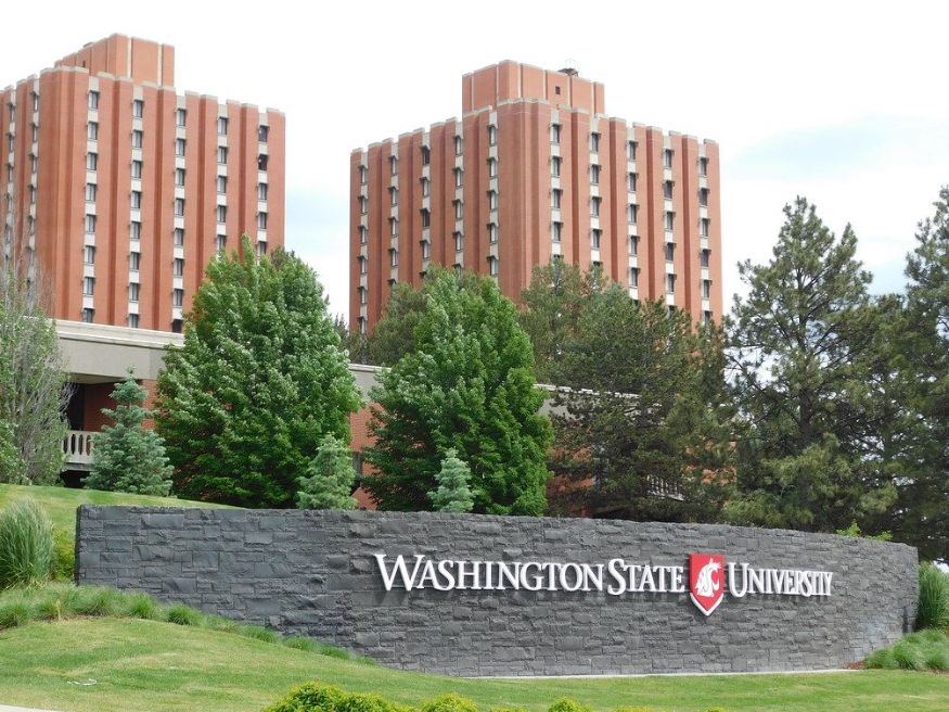 Điều kiện và hồ sơ xét tuyển Washington State University