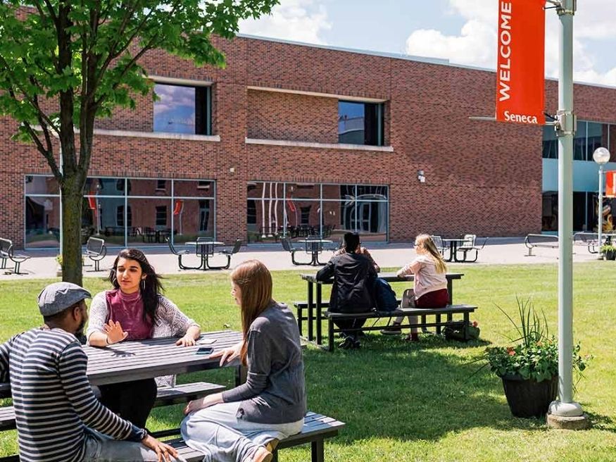 Danh sách trường cao đẳng nổi bật tại Canada
