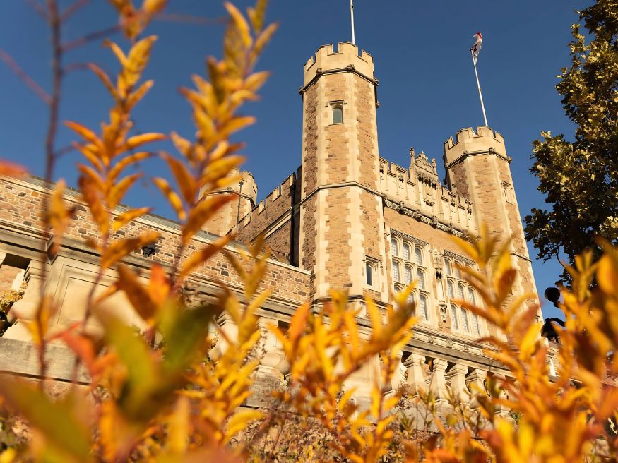 Chi phí học tập và hỗ trợ tài chính tại Washington University in St. Louis